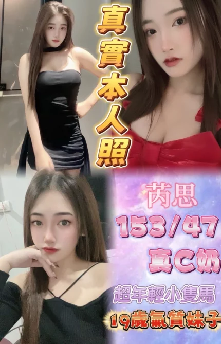 台北定點茶-芮思/153/47/19/C