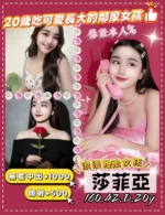 桃園定點茶-莎菲亞/160/42/20/D