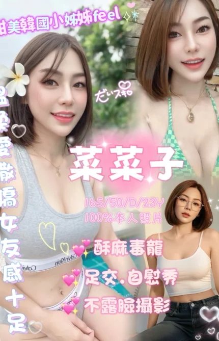 嘉義定點茶-菜菜子/165/50/23/D