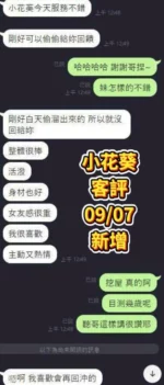 台南定點茶-小花葵/160/46/19/E