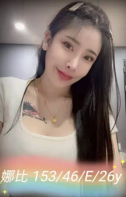 嘉義定點茶-娜比/153/46/26/E