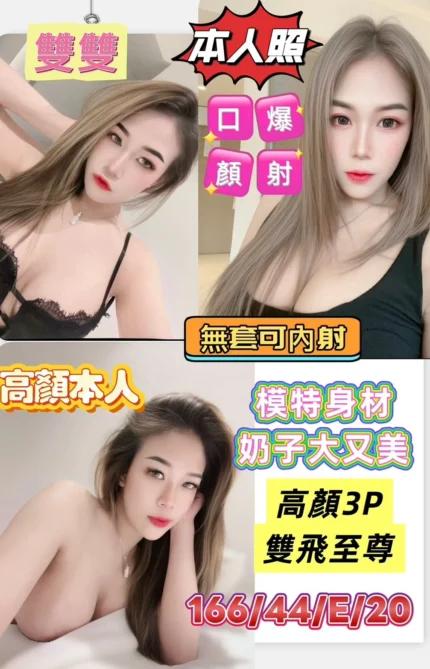 台南定點茶-雙雙/166/44/20/E