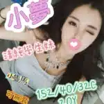 嘉義外送茶-小夢/152/40/20/C