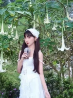 台北定點茶-白兔兔/160/43/19/C