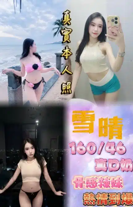 台北定點茶-雪晴/160/46/22/D