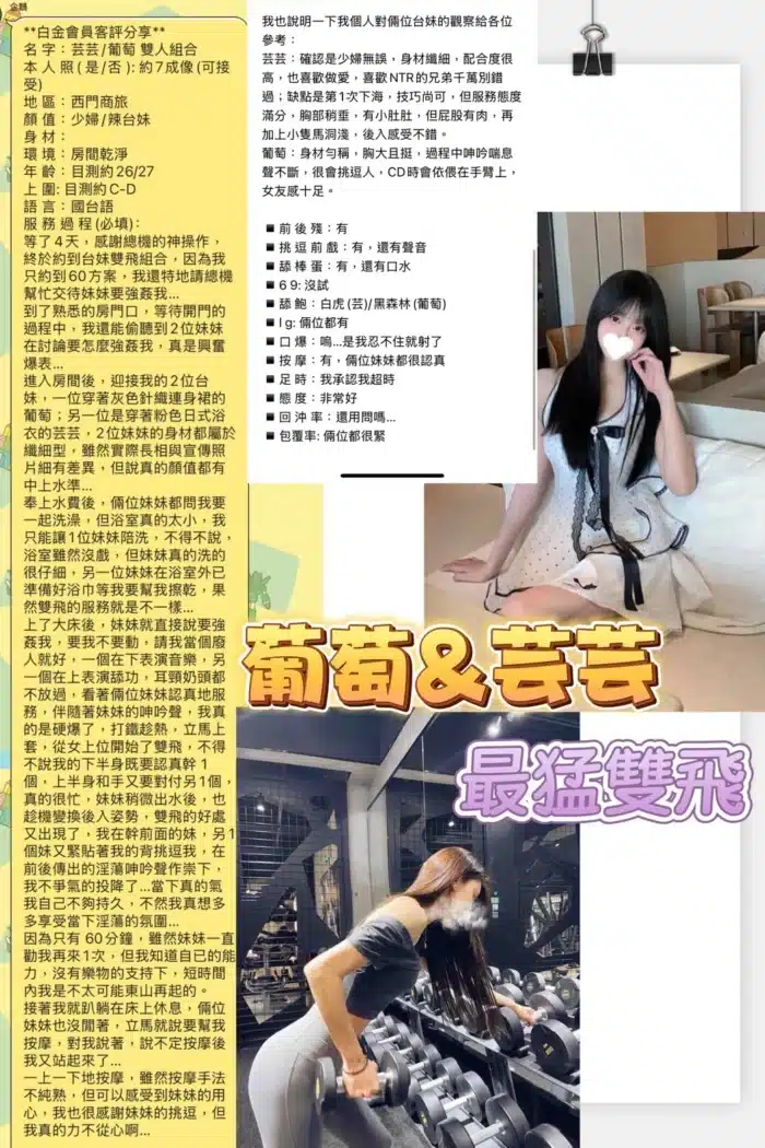台北定點茶-芸芸/155/45/25/D