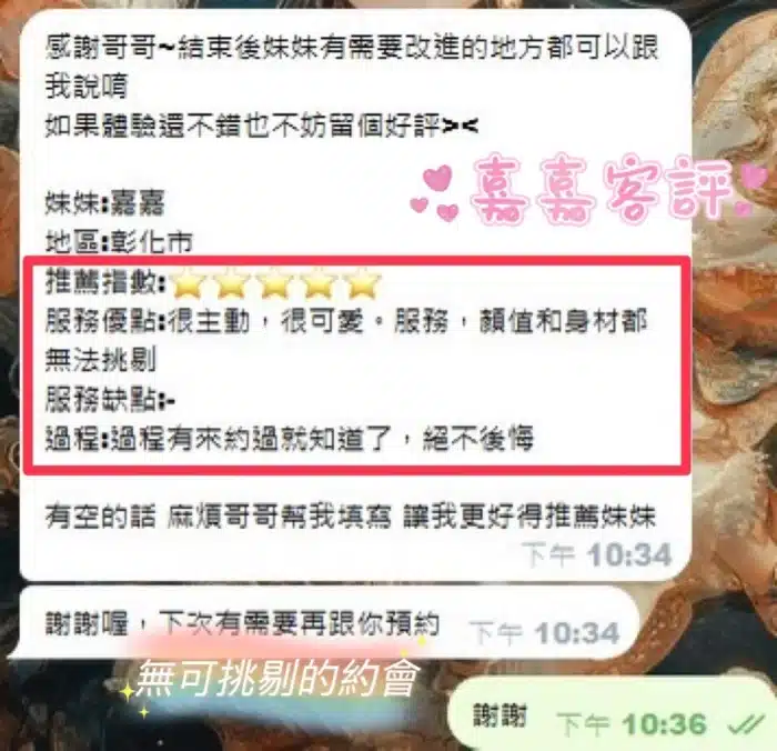 南投定點茶-嘉嘉/162/47/21/E
