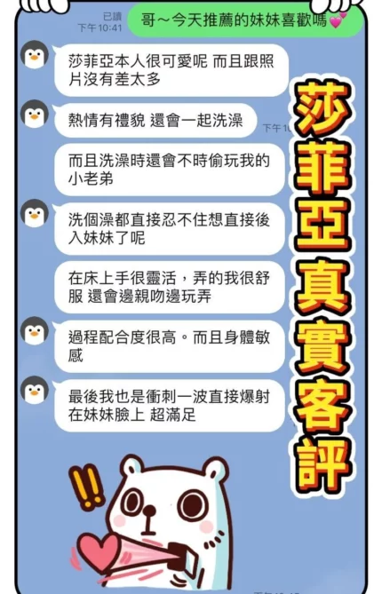 桃園定點茶-莎菲亞/160/42/20/D