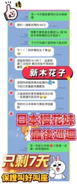 桃園定點茶-新木花子/162/49/21/D