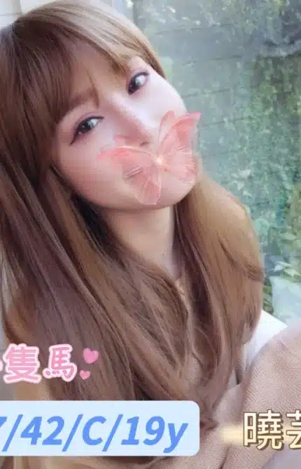 台中外送茶-曉芸/147/42/19/C