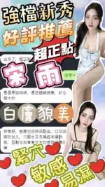 台中定點茶-宋雨/167/43/?/D
