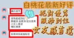 台中定點茶-白桃花/155/40/?/C