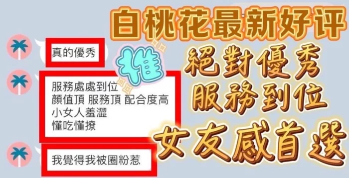 台中定點茶-白桃花/155/40/?/C