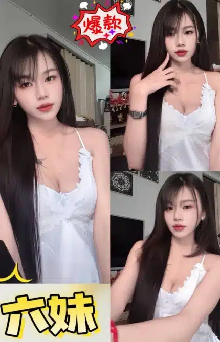 新北定點茶-六妹/160/45/20/C