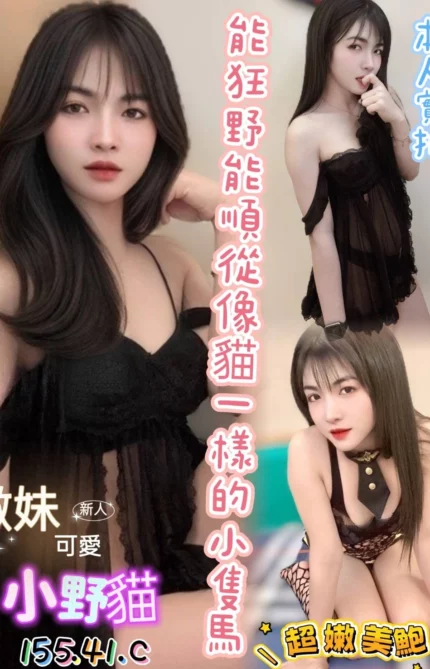 高雄定點茶-小野貓/155/41/23/C