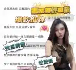 台中定點茶-嫣紫/154/43/?/E