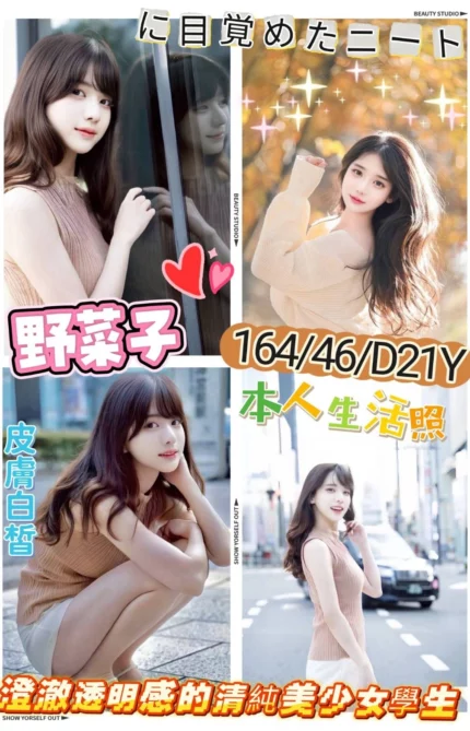 台北外送茶-野菜子/164/46/21/D