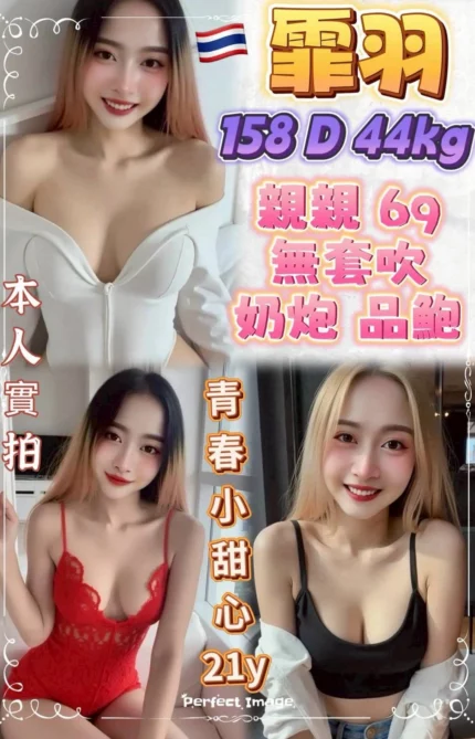 新北定點茶-霏羽/158/44/21/D
