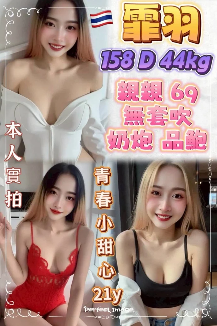 新北定點茶-霏羽/158/44/21/D