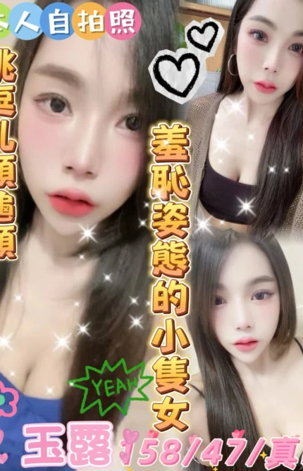 雲林定點茶-玉露/158/47/?/D