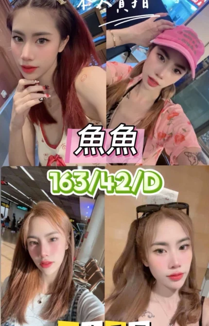 台中定點茶-魚魚/163/42/21/D