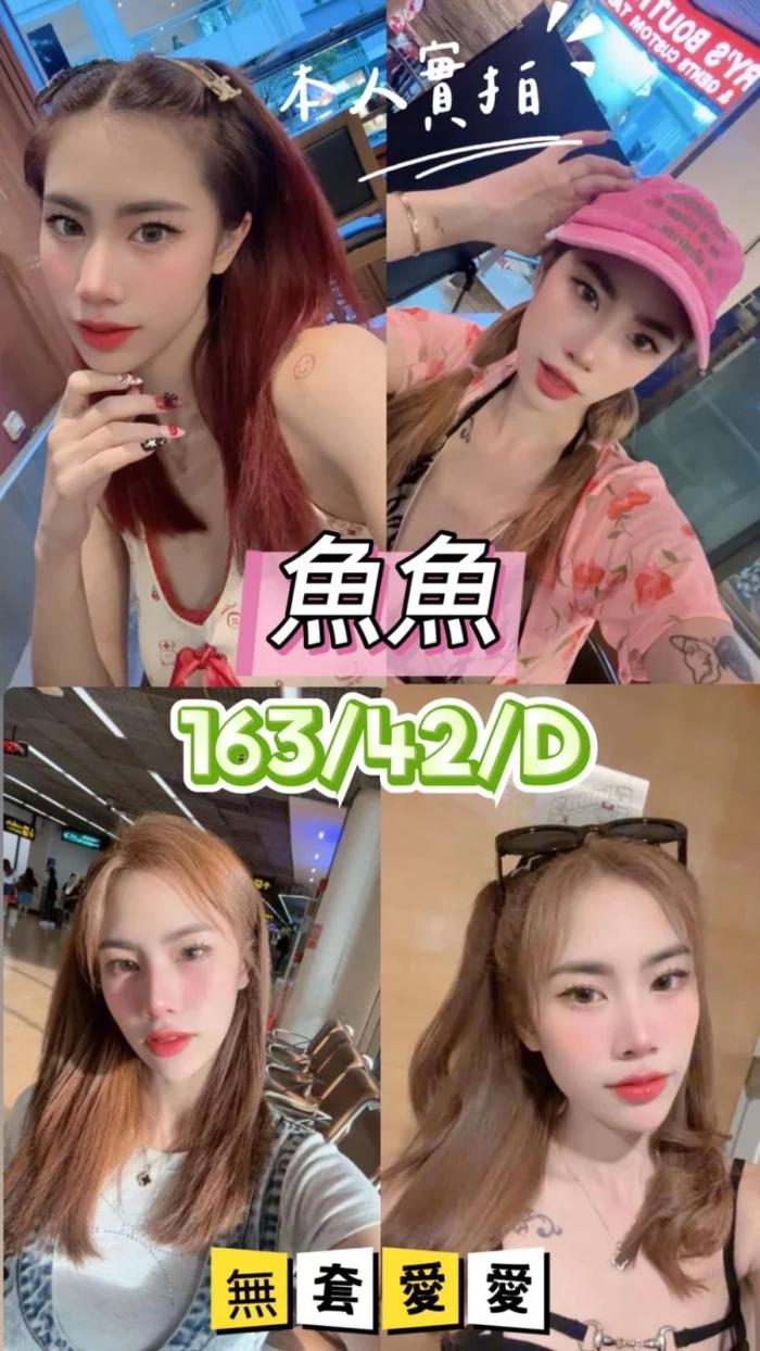 台中定點茶-魚魚/163/42/21/D