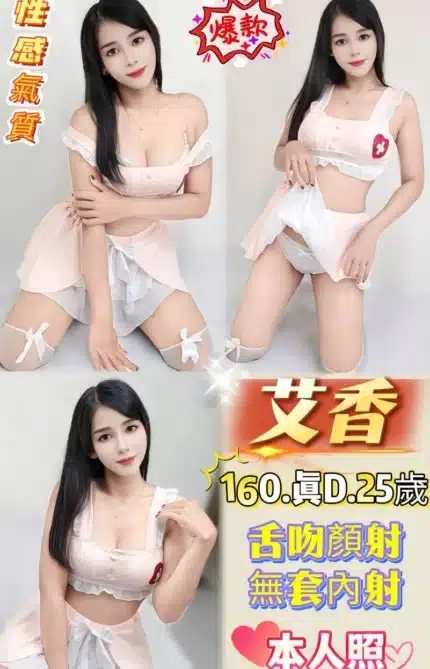 新北定點茶-艾香/160/48/25/D