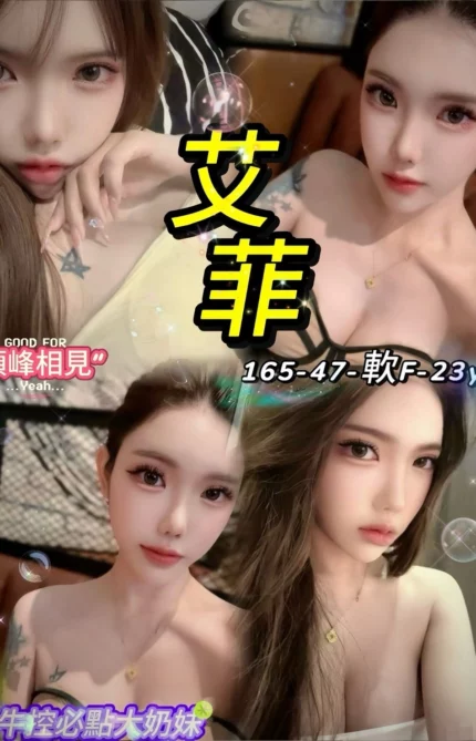 台北定點茶-艾菲/165/47/23/F