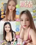 雲林定點茶-奶茶/155/44/23/F