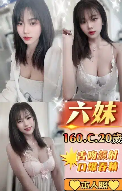 新北定點茶-六妹/160/45/20/C