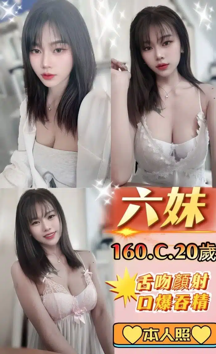 新北定點茶-六妹/160/45/20/C