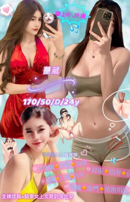 新北定點茶-薔葳/170/50/24/D