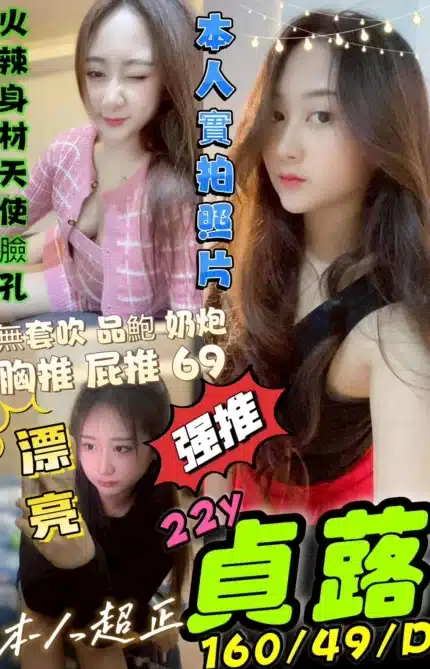 高雄定點茶-貞蕗/160/49/22/D