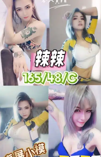 台中定點茶-辣辣/165/48/?/C