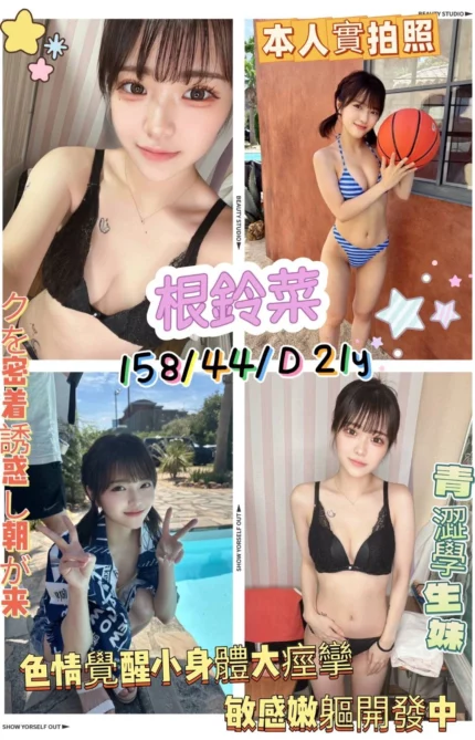 新竹外送茶-根鈴菜/158/44/21/D