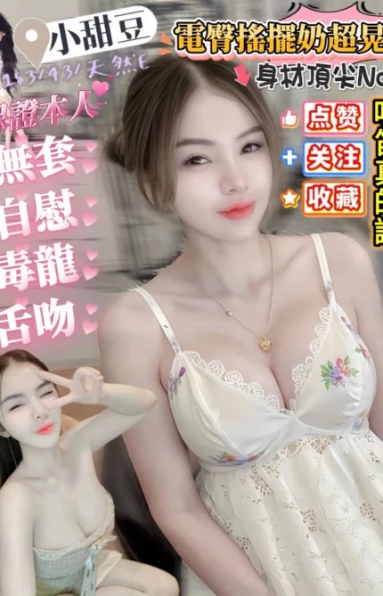 屏東定點茶-小甜豆/153/43/25/E