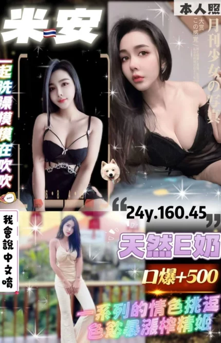桃園定點茶-米安/160/45/24/E