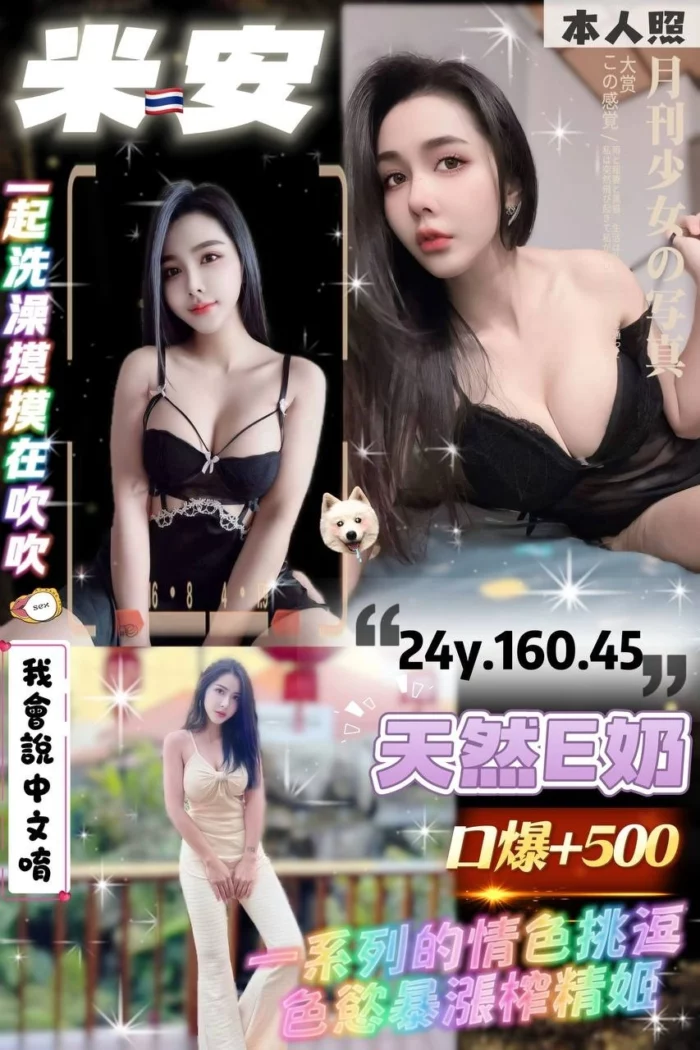 桃園定點茶-米安/160/45/24/E