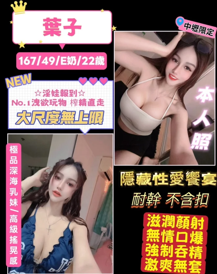 桃園定點茶-葉子/167/49/22/E