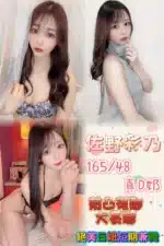 台北定點茶-佐野彩乃/165/48/24/D