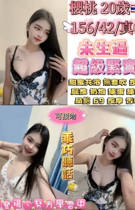 台北定點茶-櫻桃/156/42/20/C