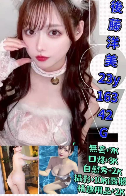 台北外送茶-後藤洋美/163/42/23/G