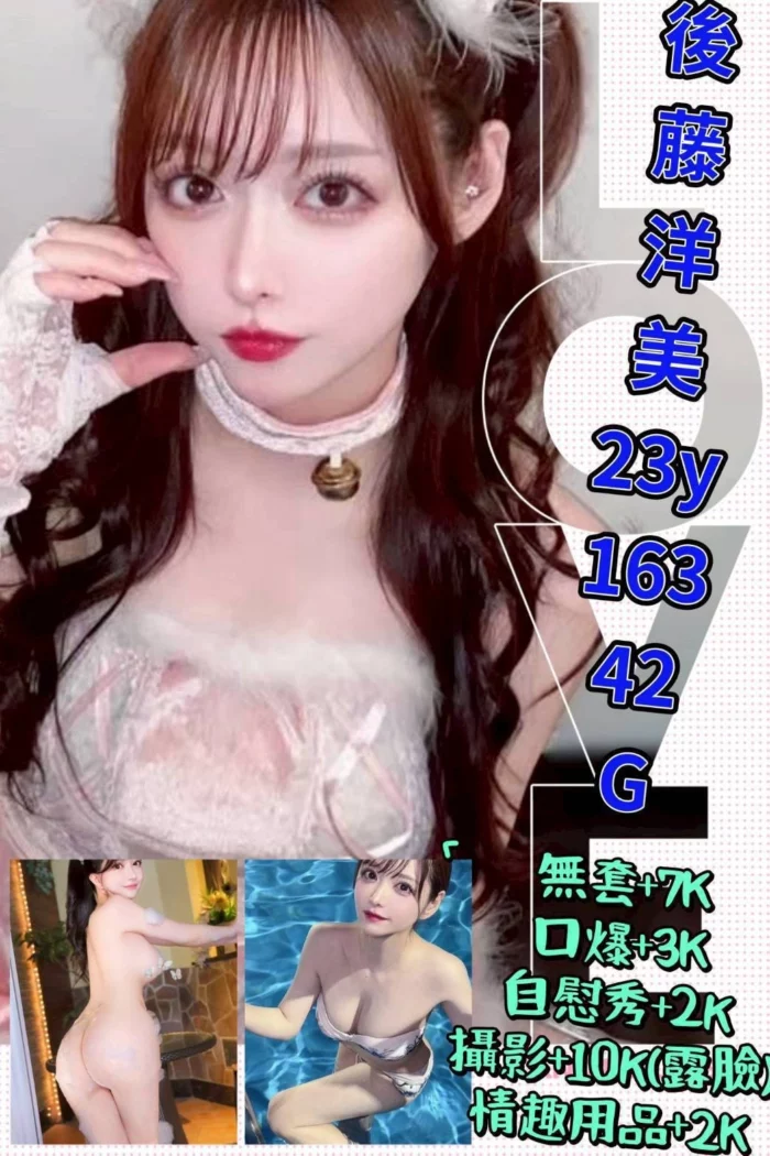 台北外送茶-後藤洋美/163/42/23/G