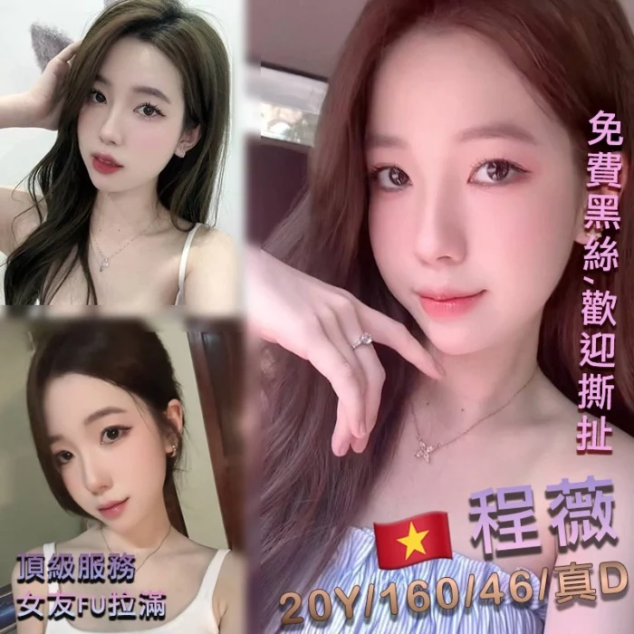 桃園定點茶-程薇/160/46/20/D