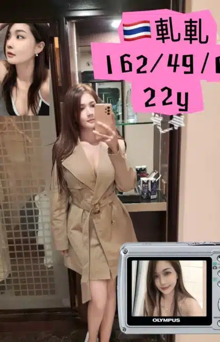 新北定點茶-軋軋/162/49/22/C