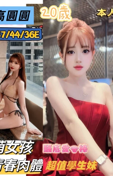 台南定點茶-高圓圓/157/44/20/E