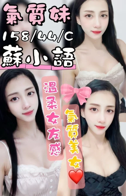 台中定點茶-蘇小語/158/44/?/C