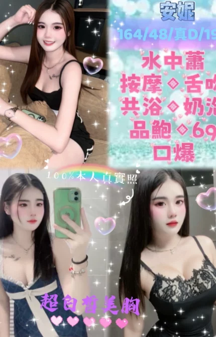 新北定點茶-安妮/164/48/19/D