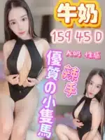 台中定點茶-牛奶/159/45/?/D