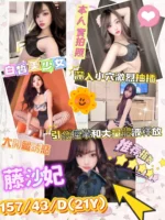 台南定點茶-藤沙妃/157/43/21/D